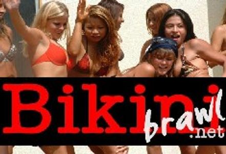 Bikini Brawl Website Debuts