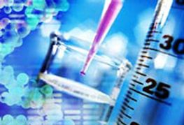 Adult Industry Shocked at Employee Status of Adult Performers