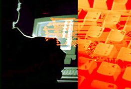 Half The Viagra in Cyberspace Fake: U.K. Scientists