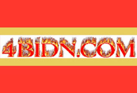 Upstart Adult Auction Site Opens at 4BidN.com
