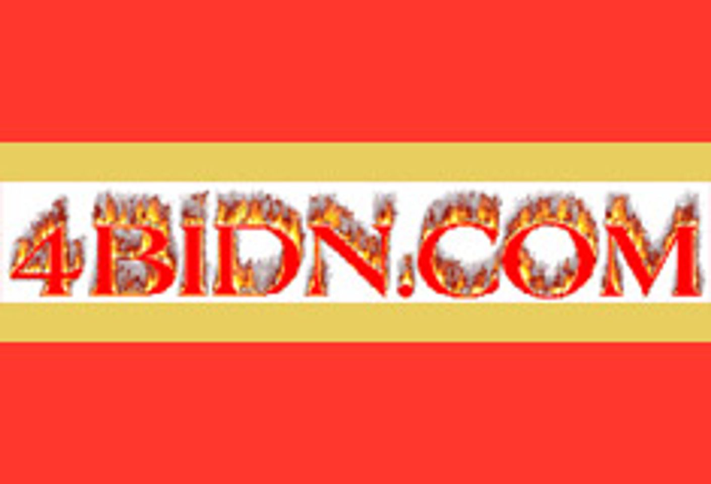 Upstart Adult Auction Site Opens at 4BidN.com