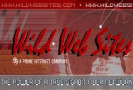 Wild Web Sites Unveils New Control Panel System