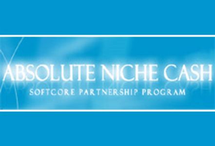 Absolute Niche Cash Redesigns