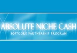 Absolute Niche Cash Redesigns