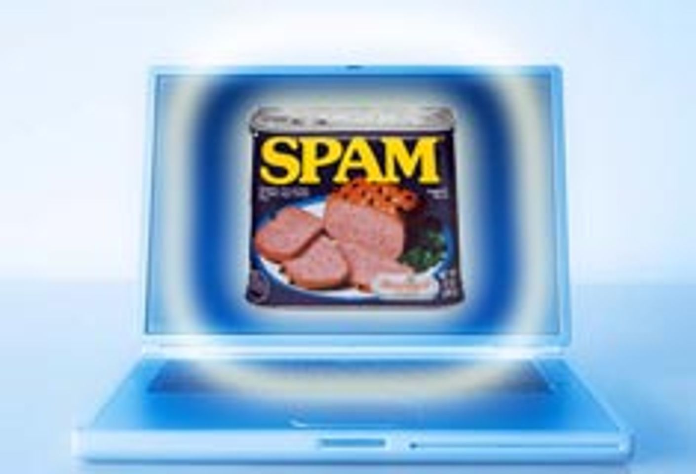 Court Upholds EarthLink Spam-Suspicion Suspension