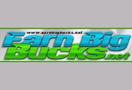 Metro's New Niches at EarnBigBucks.net