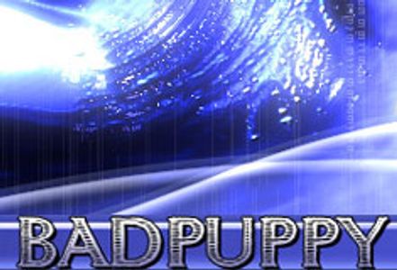 Badpuppy Introduces Flash-based Dog Gone Video