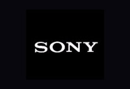 Sony Open to Single Next DVD Standard