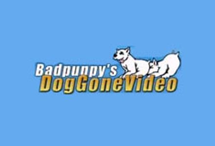Dog Gone Video Nets 60 New Studios
