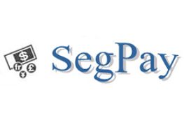 Using Auditors to Monitor Client Payments: SegPay