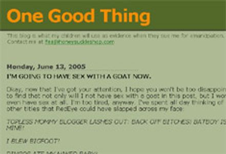 Mother, Online Adult Toy Store Proprietor, Blogger