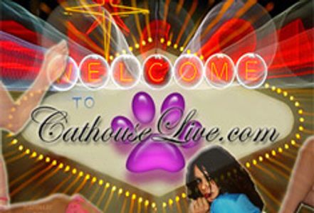 Naked Elegance Launches CathouseLive.com