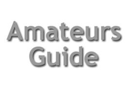 Amateurs Guide Recovered From Cyber Attack