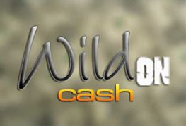 WildOnCash Launches New Gay Ebony Site