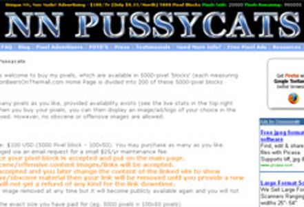 NNPussycats.Com Launches Non-Nude Site