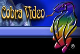 Two More Cobra Videos Recalled