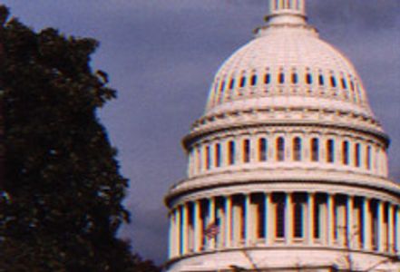 Proposed Legislation Will Require Labels for Sex Sites