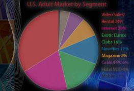 Cable, Internet, Novelty Revenues See Double-Digit Growth Rates in 2006, Video Declines