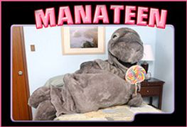 Of Manatees and Men