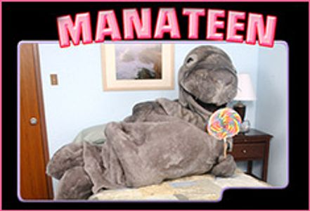 Of Manatees and Men