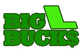 BigLBucks Affiliate Scam Uncovered