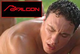 Adonis Bottoms for Falcon