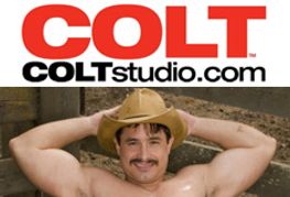 Colt Studio Signs International Star Antton Harri