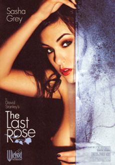 The Last Rose