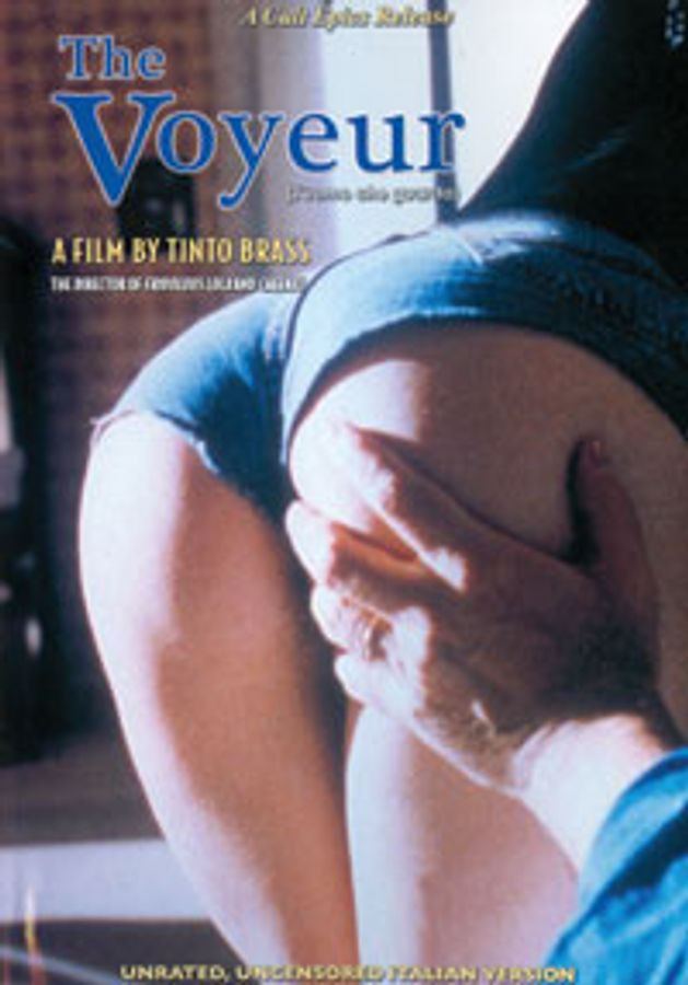 The Voyeur (2008)