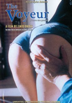 The Voyeur (2008)
