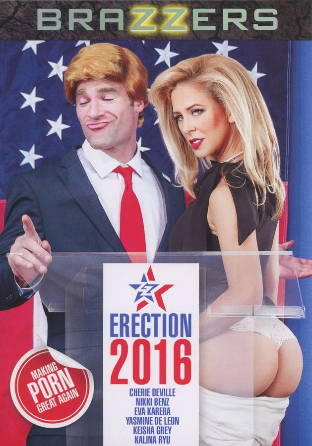 ZZ Erection 2016