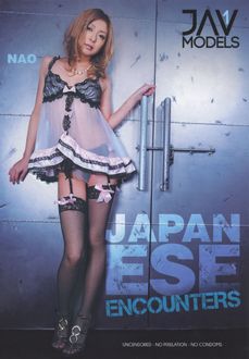 Japanese Encounters