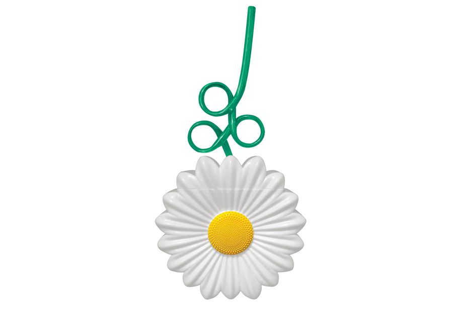 Daisy Cup