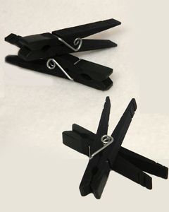 Gripper Clothespins
