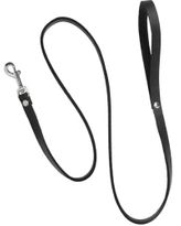 Leather Leash