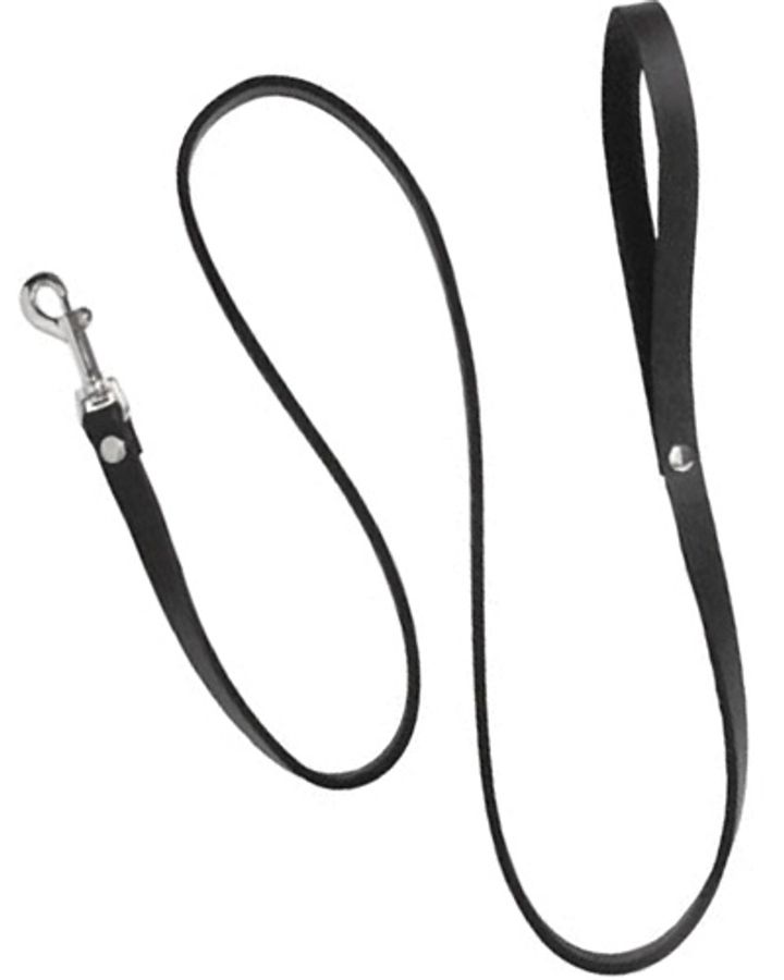 Leather Leash