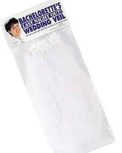 Bachelorette’s Last Night Night Out Wedding Veil