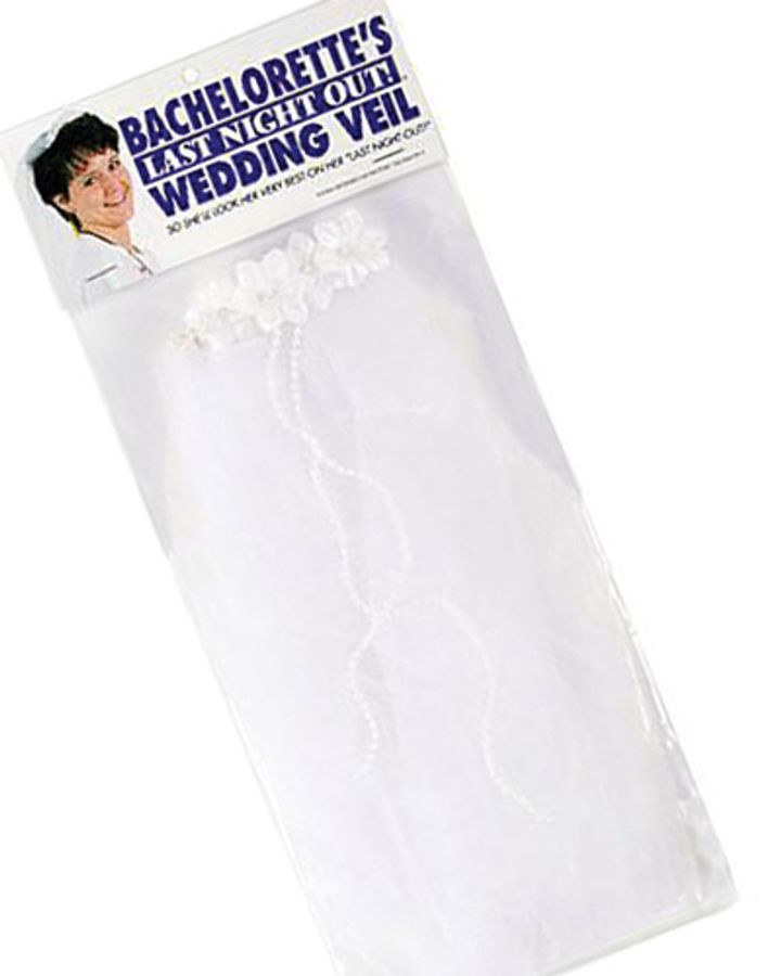 Bachelorette’s Last Night Night Out Wedding Veil