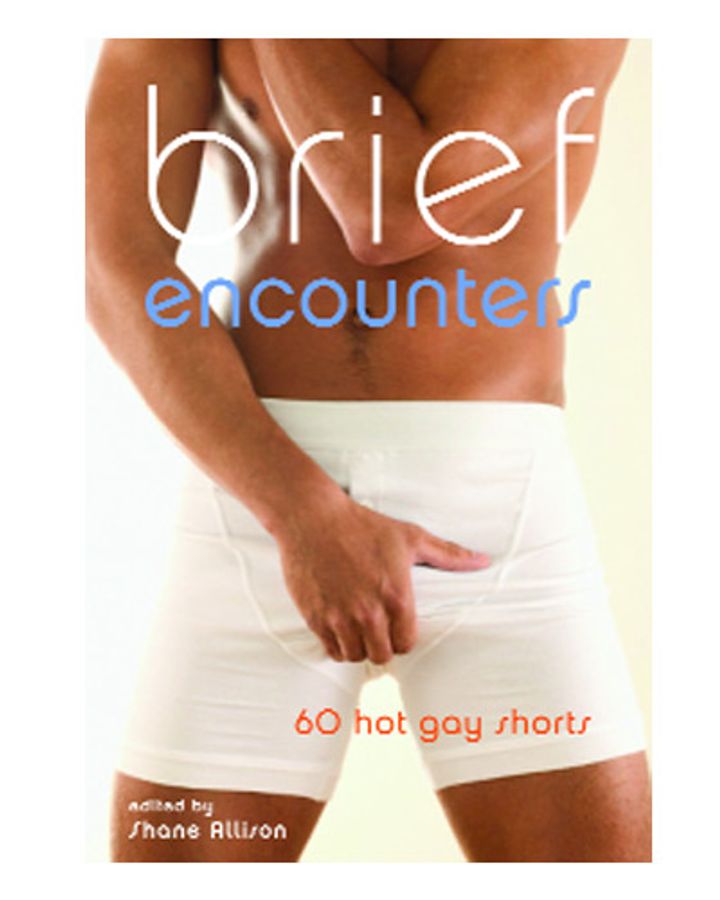 Brief Encounters: 69 Hot Gay Shorts