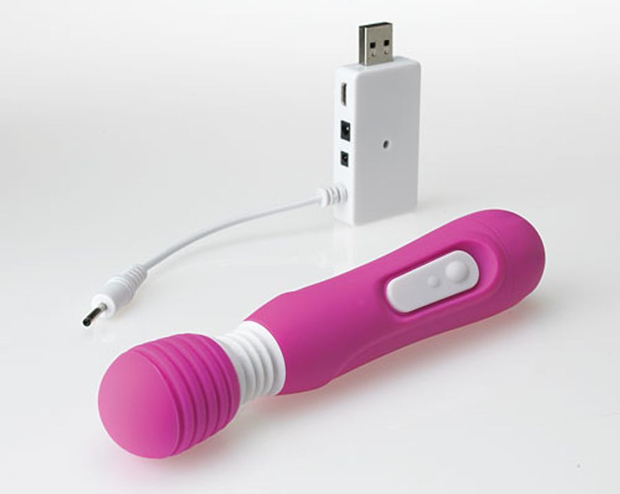 Mini Magic Massager