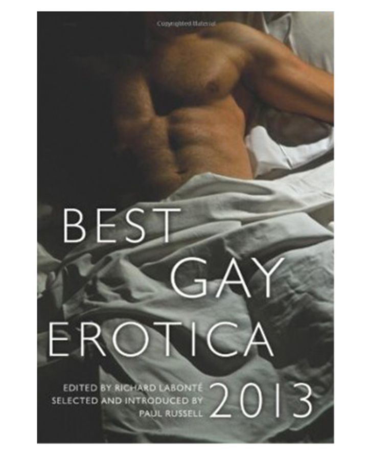 Best Gay Erotica 2013