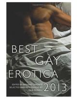 Best Gay Romance 2013