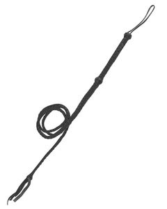 Bull Whip