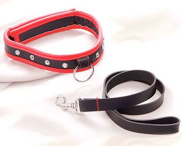 Collar & Leash (Adam & Eve)