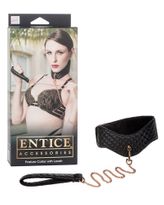 Entice Accessories Posture Collar With Leash