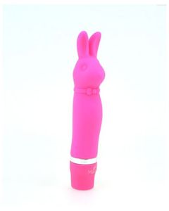 Silicone Bunny Vibe