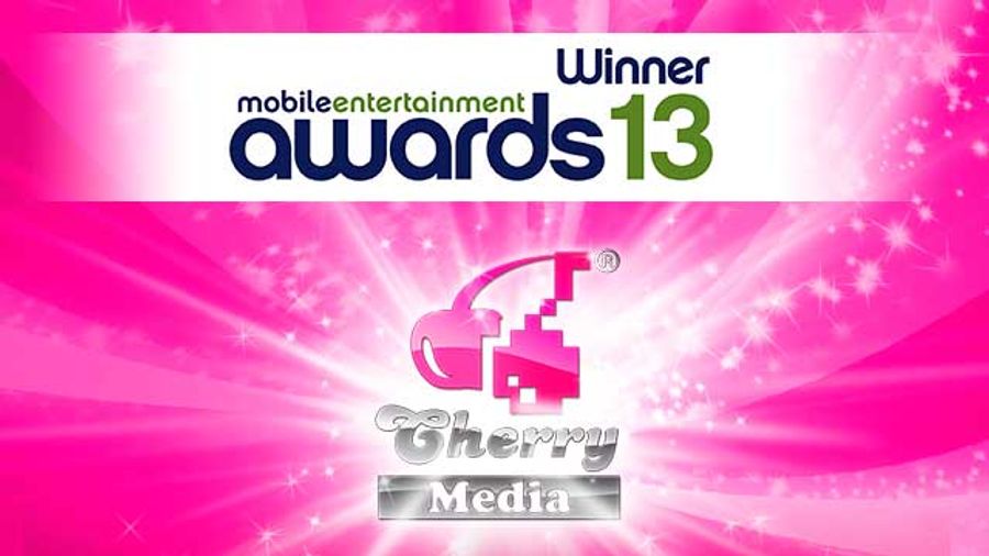 Cherry Media Wins Twice At 2013 ME Awards In London