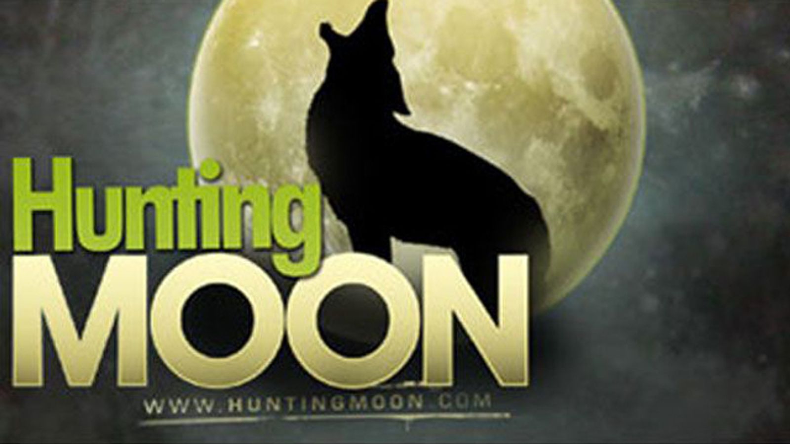 Internext 2013 Domain Auction by HuntingMoon Ends Thursday