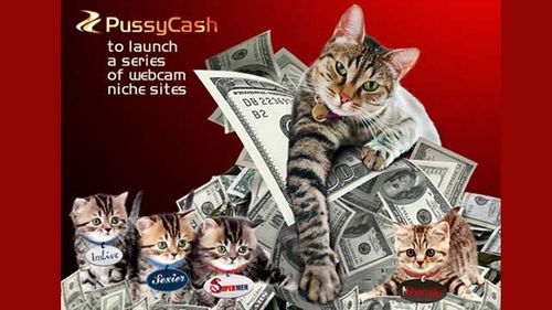 PussyCash Niche Series Starts with Supermen.com, Shemale.com