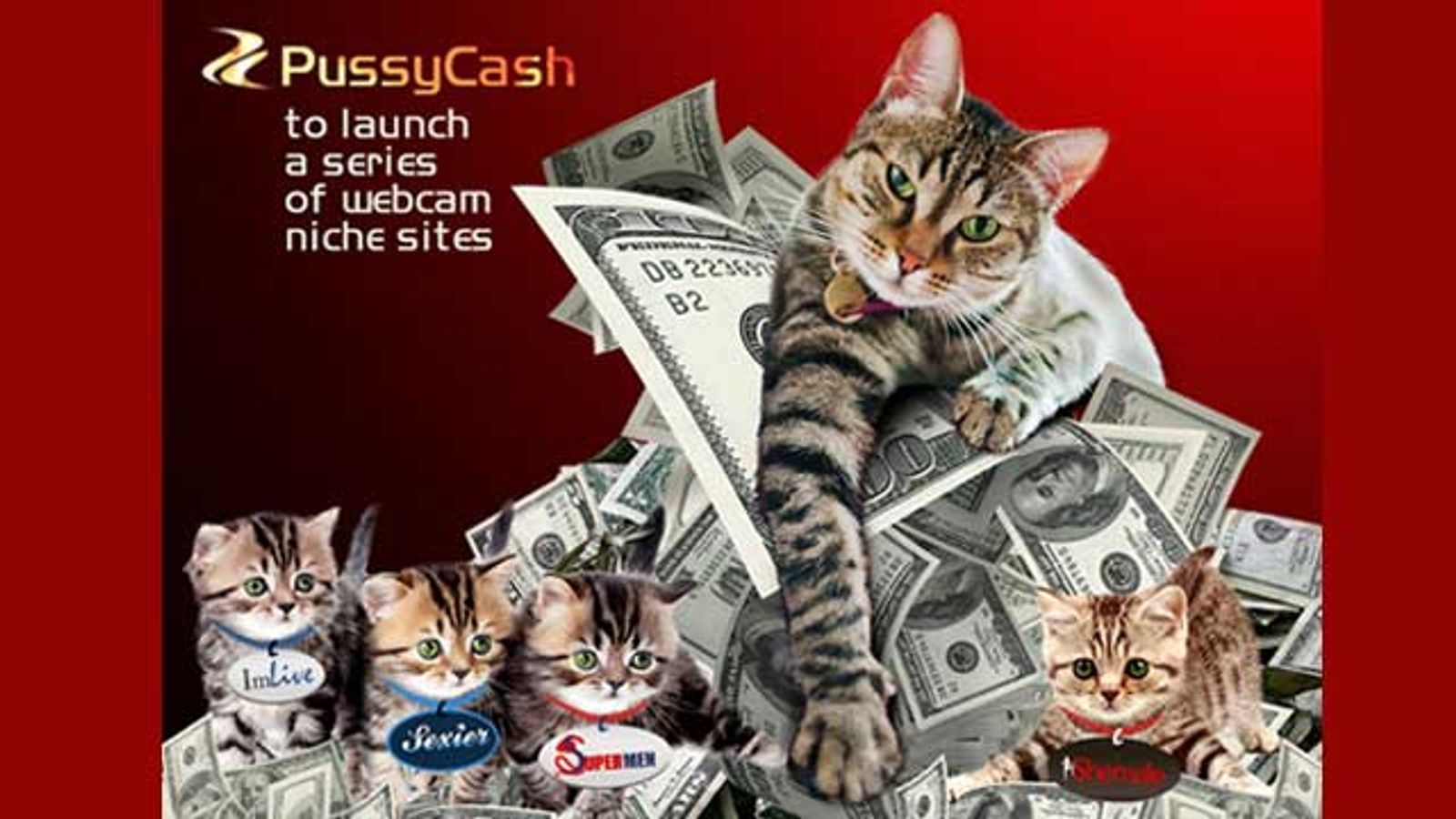 PussyCash Niche Series Starts with Supermen.com, Shemale.com